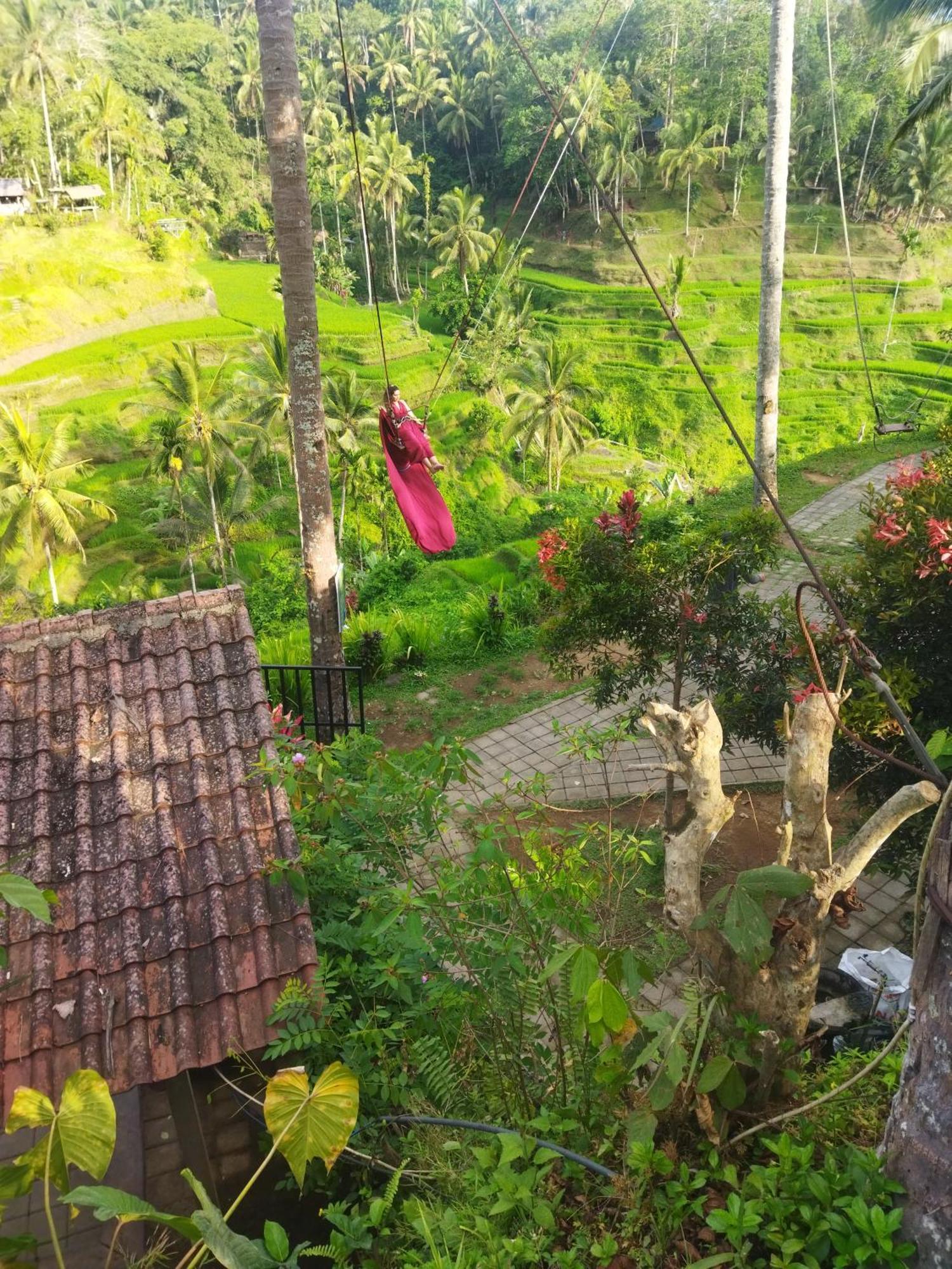 Wahwik'S House Hotel Ubud  Ngoại thất bức ảnh