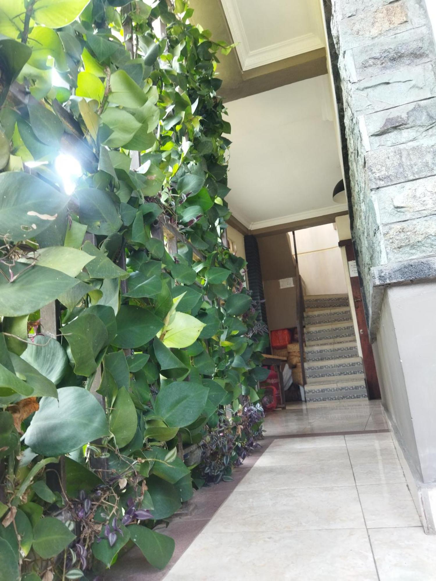 Wahwik'S House Hotel Ubud  Ngoại thất bức ảnh