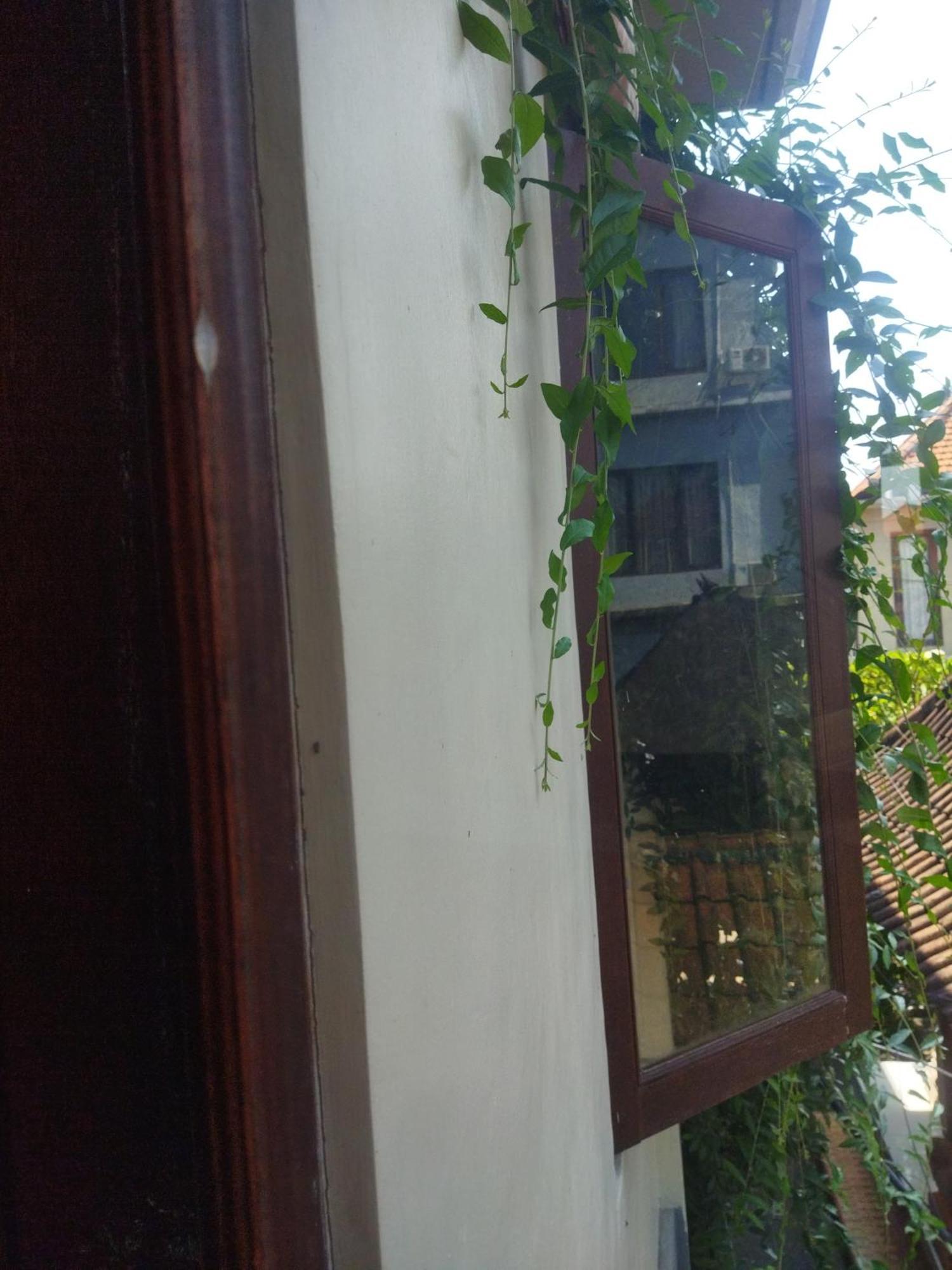 Wahwik'S House Hotel Ubud  Ngoại thất bức ảnh