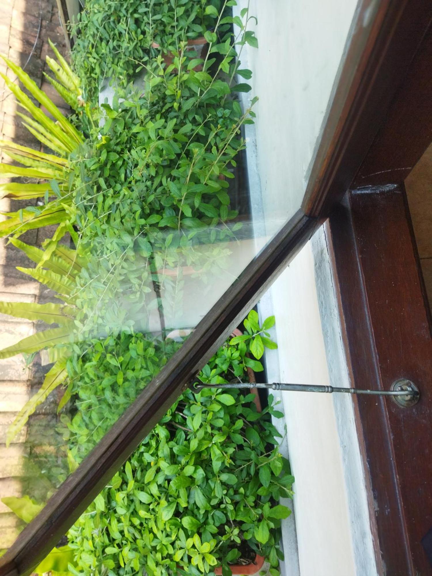 Wahwik'S House Hotel Ubud  Ngoại thất bức ảnh