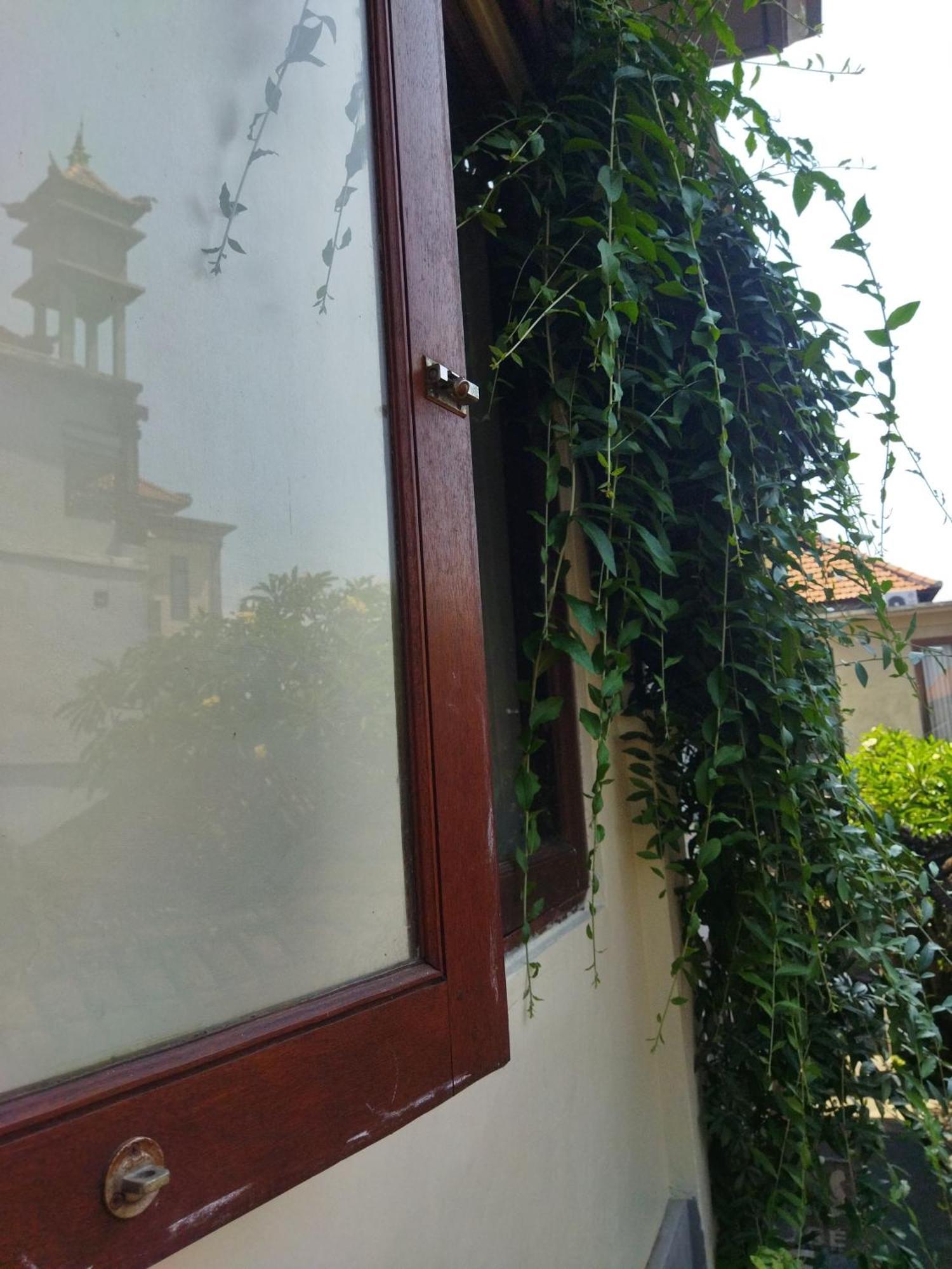 Wahwik'S House Hotel Ubud  Ngoại thất bức ảnh