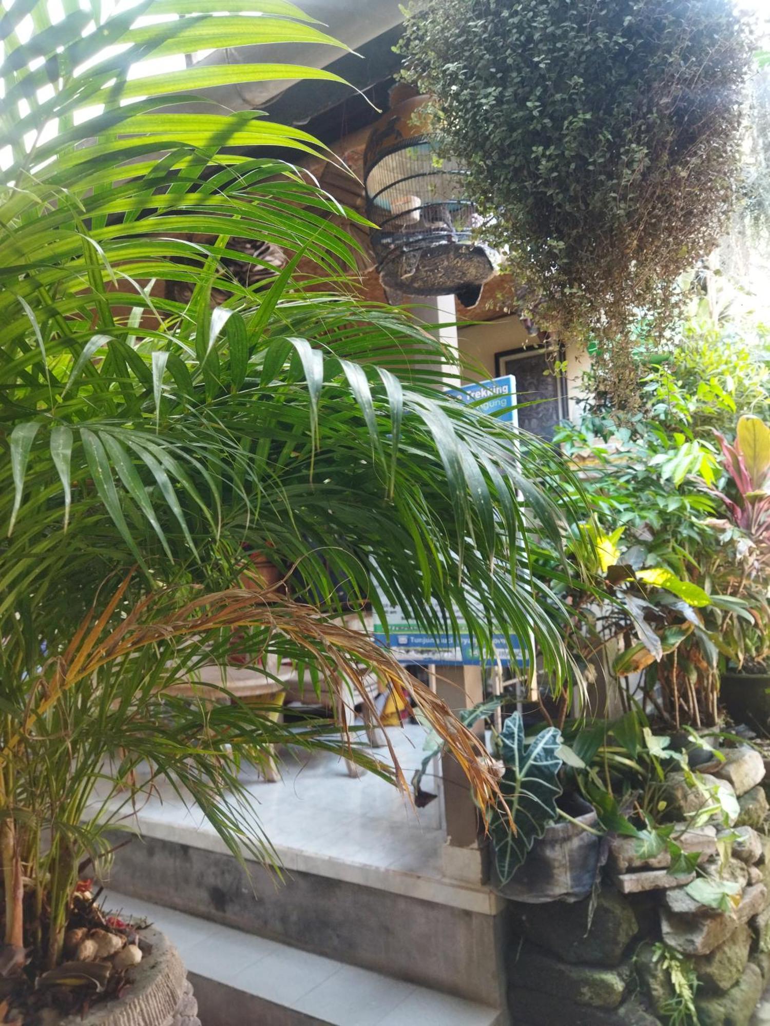 Wahwik'S House Hotel Ubud  Ngoại thất bức ảnh